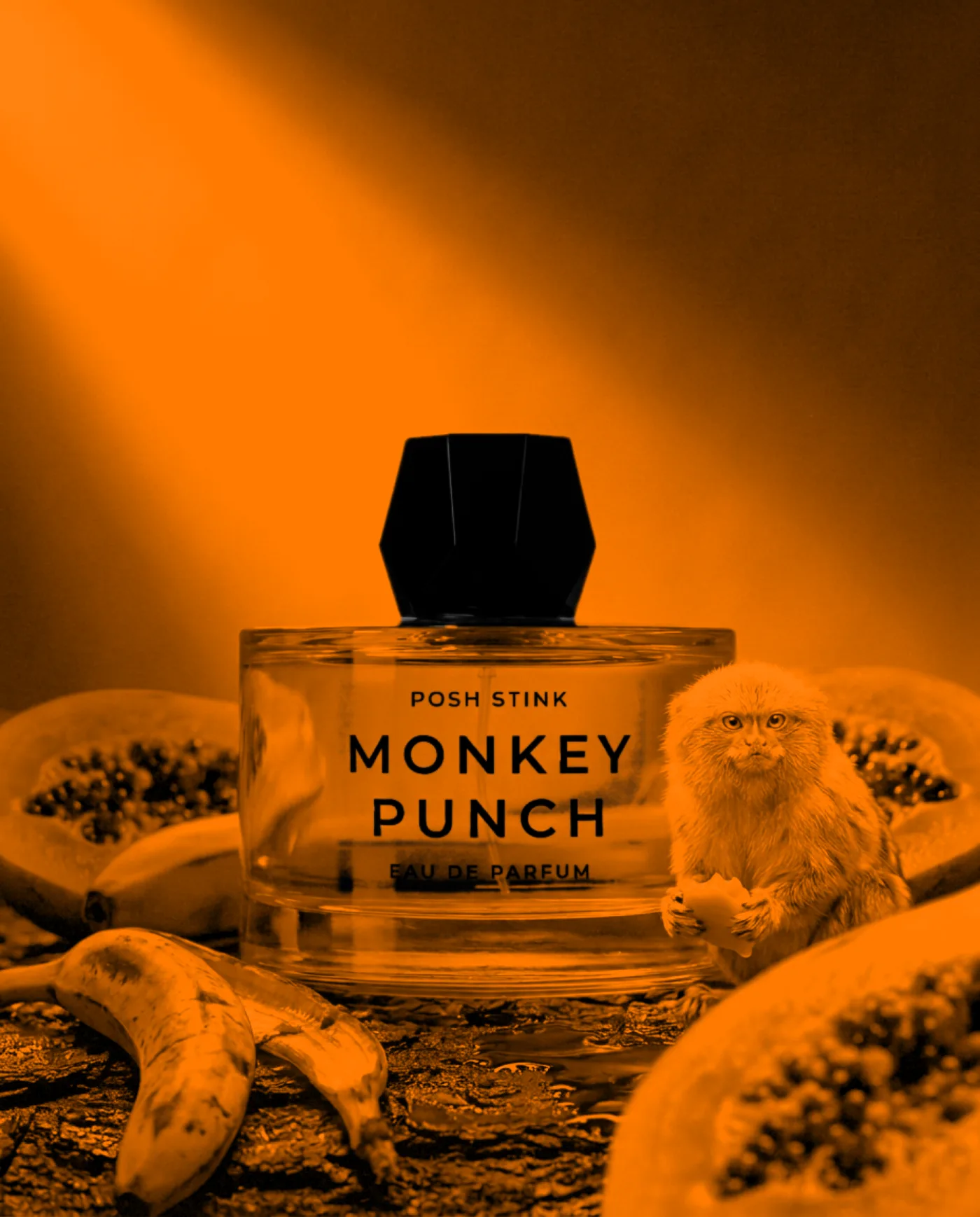 Posh Stink Packaging design and art direction · Alkeme Design