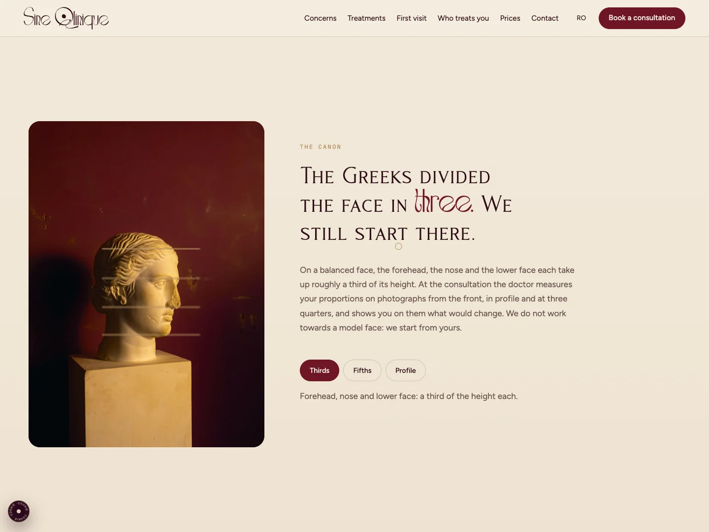 Sine Qlinique Website: the homepage · Alkeme Design