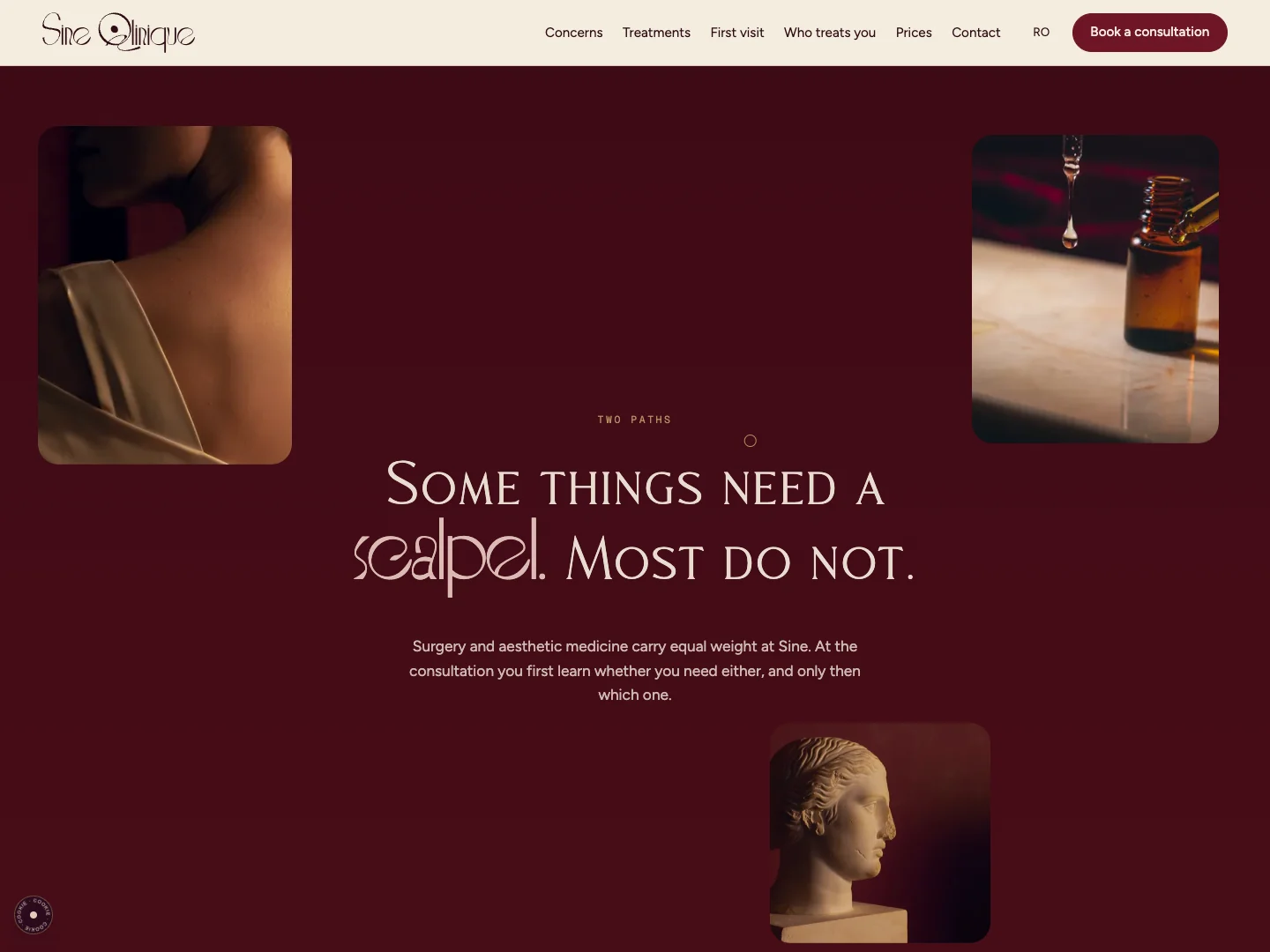 Sine Qlinique Website: the homepage · Alkeme Design