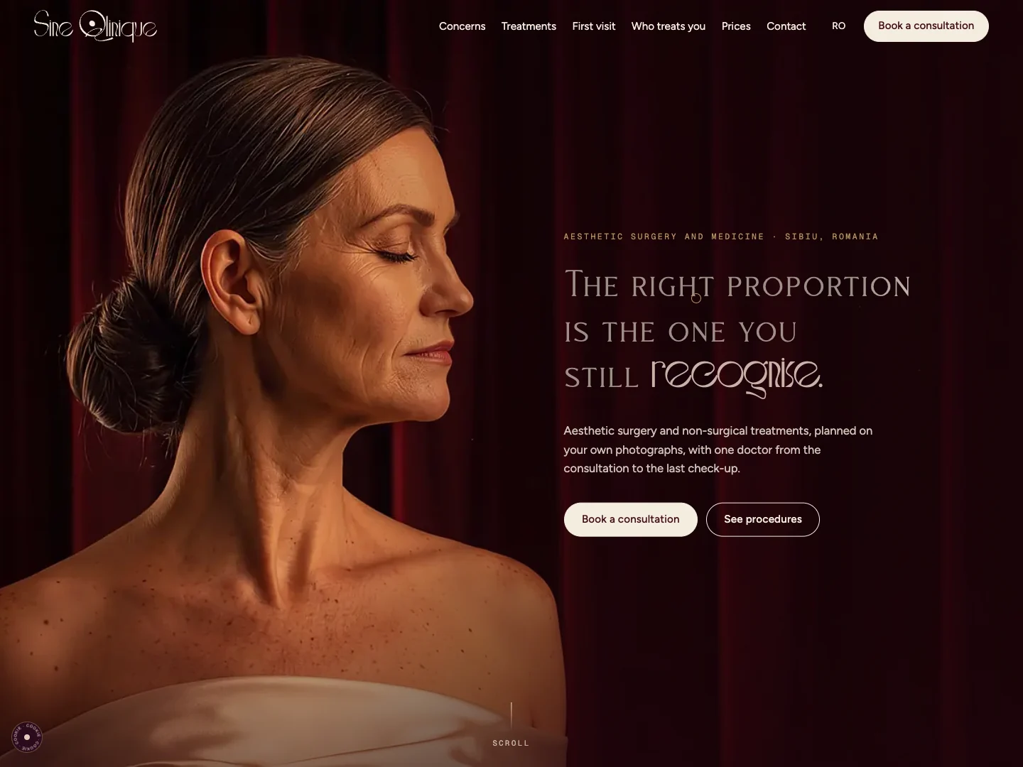 Sine Qlinique Website: the homepage · Alkeme Design